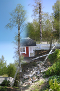 Pihapuun kaato ja karsinta